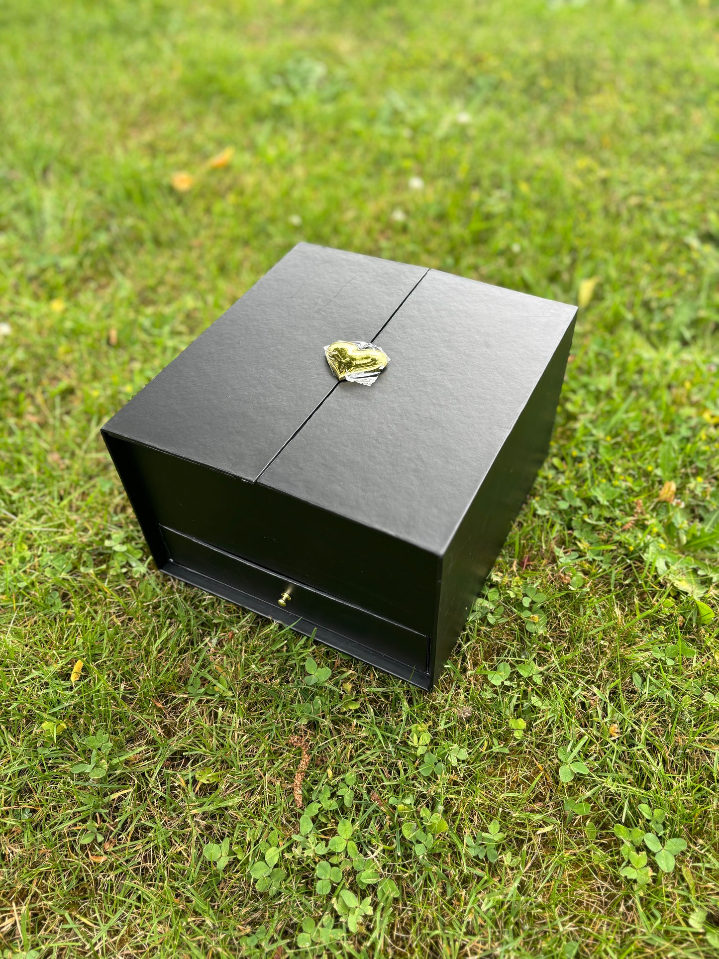 Heart Surprise Box- NO SHIPPING for this product