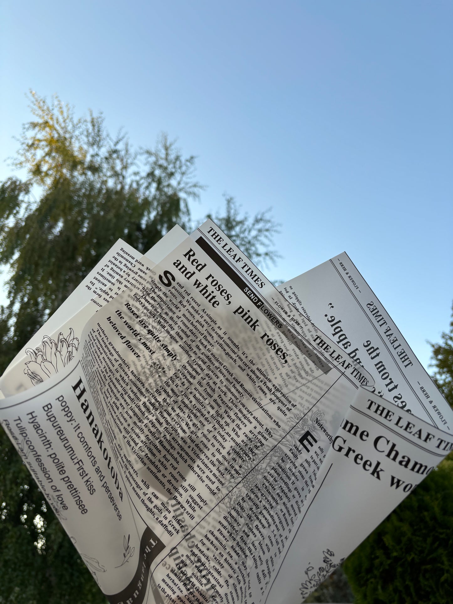 Newspaper (waterproof)