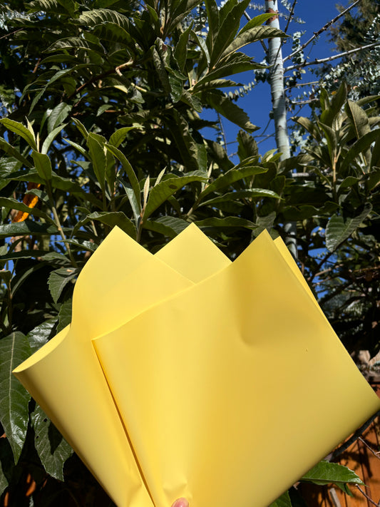 Yellow paper (solid)