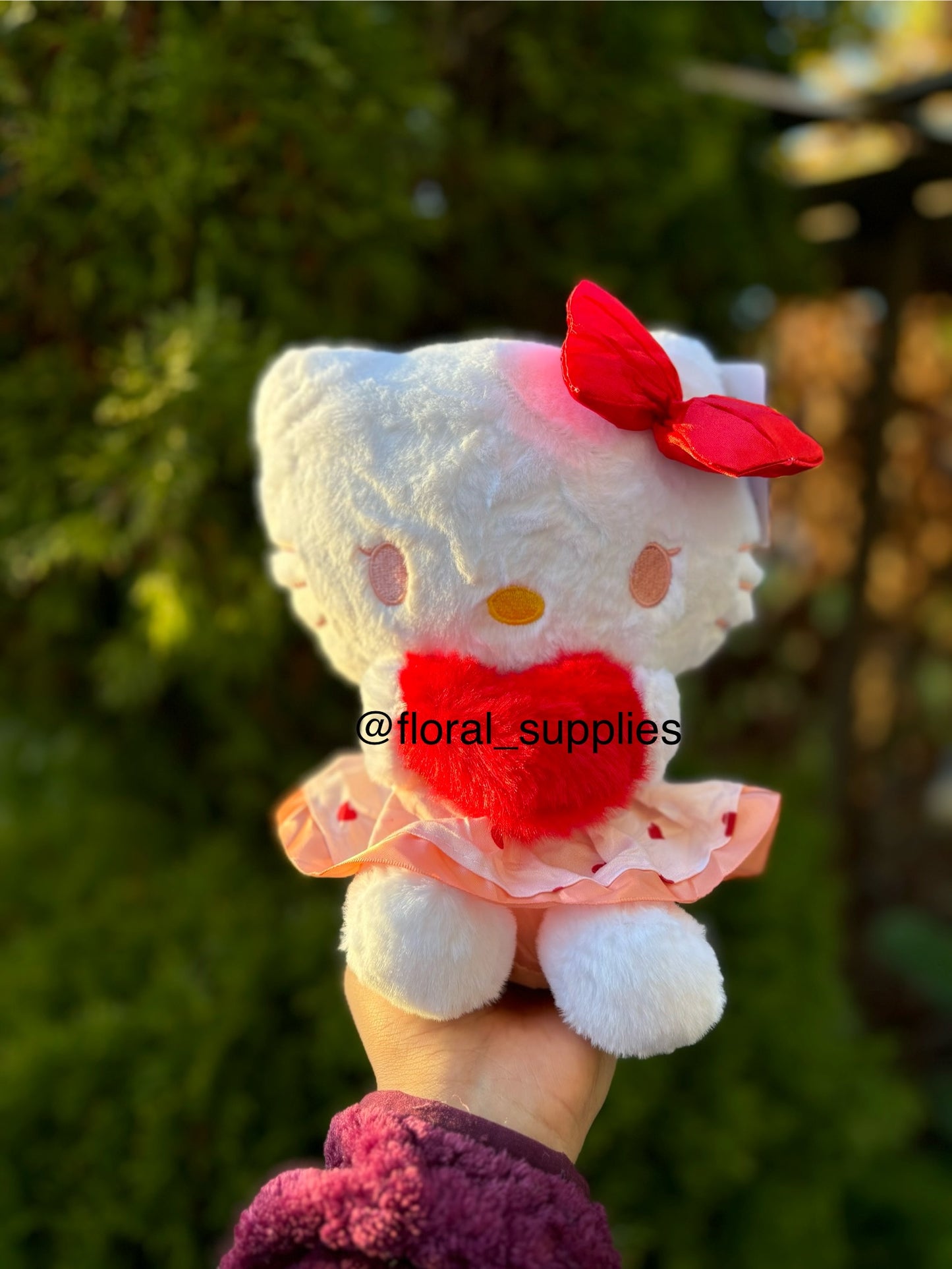 HK & friends plush