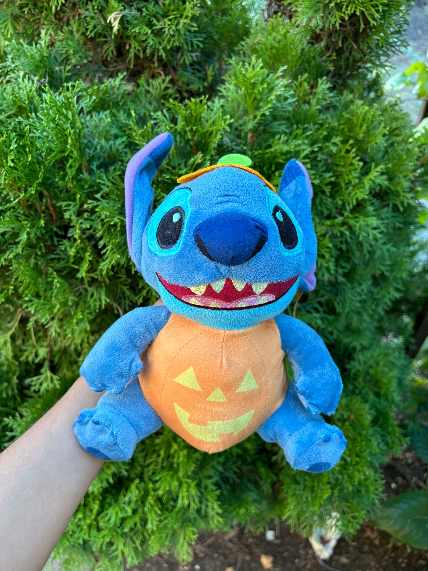 Halloween stitch